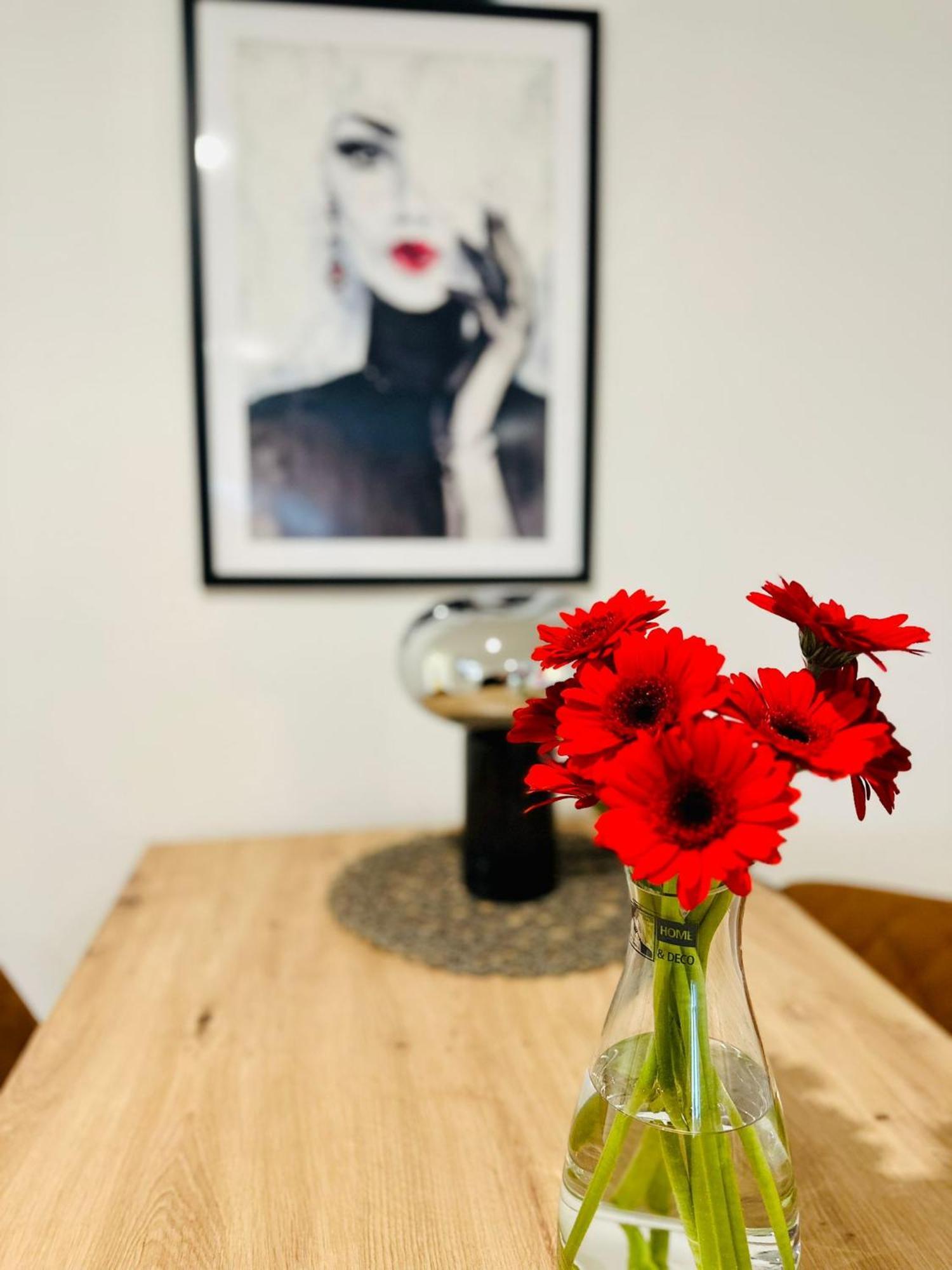 Lous Ferienwohnung Thale Exteriér fotografie